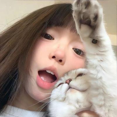 局内者们 海报